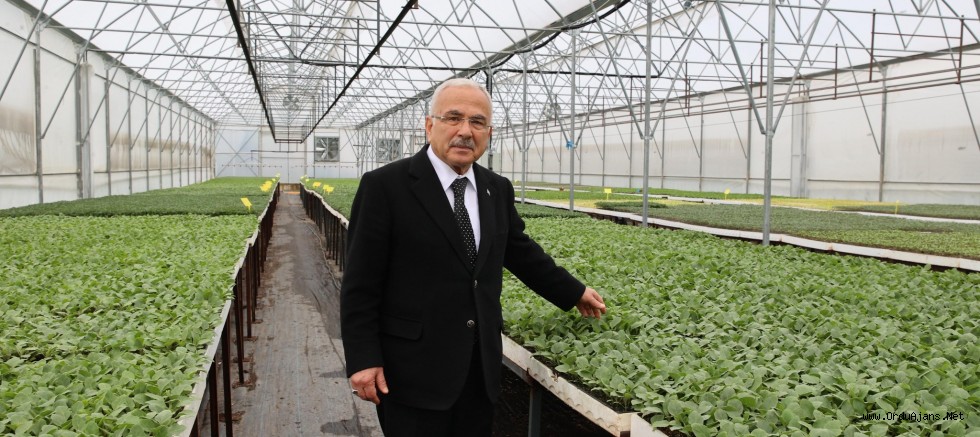 BÜYÜKŞEHİR, 5 YILDA 4 MİLYON SEBZE FİDESİ DAĞITTI