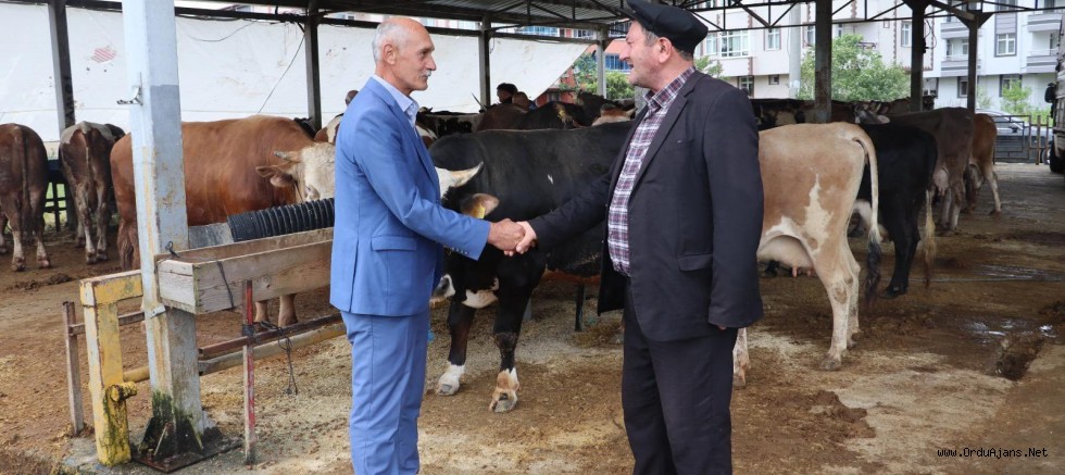 BÜYÜKŞEHİR KURBAN HAZIRLIKLARINI TAMAMLADI