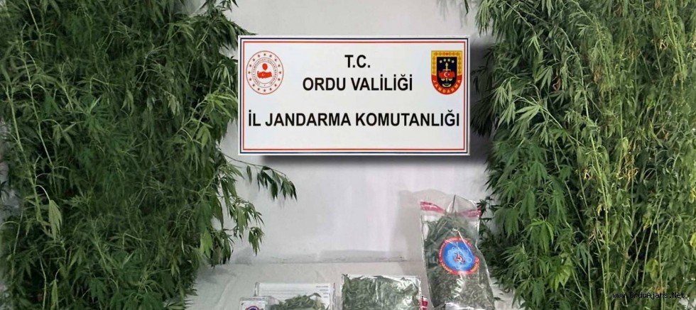 Ordu Jandarmasından Bir Haftada 26 Aranan Şüpheli Yakalandı