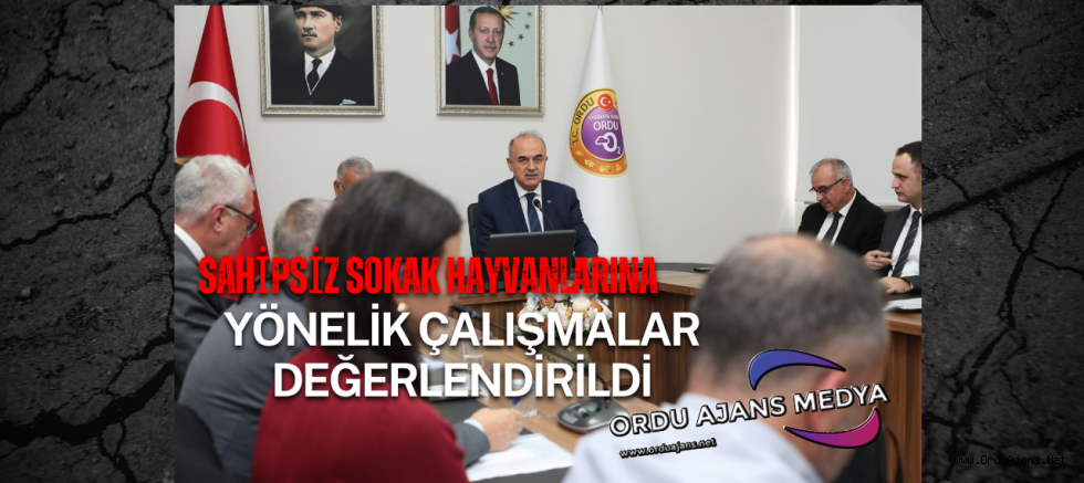 Sahipsiz Sokak Hayvanlarına Yönelik Çalışmalar Değerlendirildi