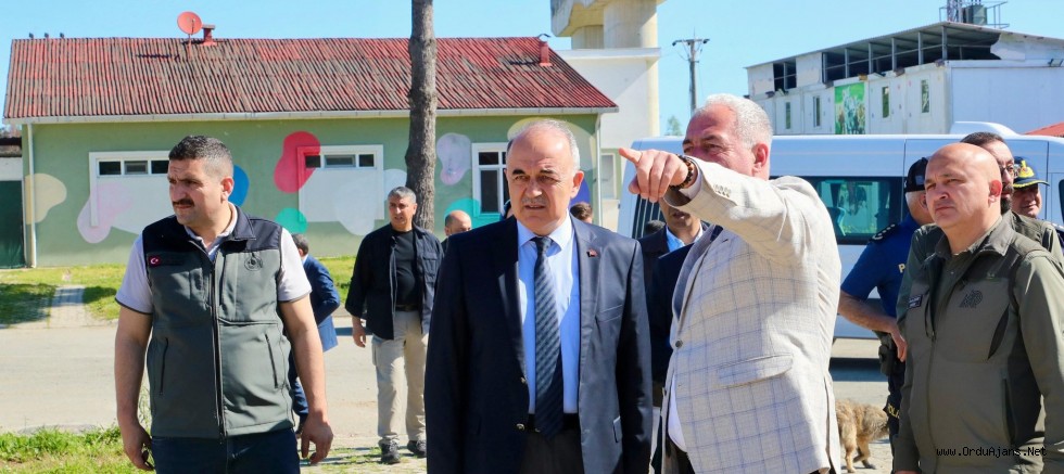 Sokak Hayvanları Barınağı ve Doğal Yaşam Alanı Denetlendi