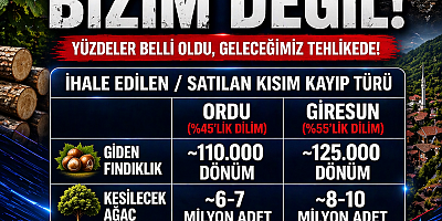 🚨 Ordu ve Giresun’daki Maden İhalelerinin Korkutan Tablosu