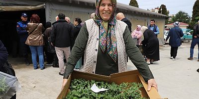 380 BİN ADET YAZLIK SEBZE FİDESİ DAĞITIMINA BAŞLADI