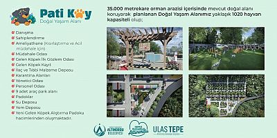 Başkan Tepe: “Pati Köy, 1020 Patili Dostumuza Yuvalık Olacak”