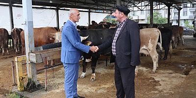 BÜYÜKŞEHİR KURBAN HAZIRLIKLARINI TAMAMLADI
