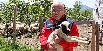 DAĞITIMINI YAPTIĞIMIZ HAYVANLARI KENDİMİZ YETİŞTİRİYORUZ