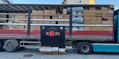 Fatsa'da Kaçakçılık Operasyonu