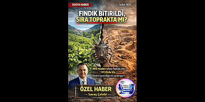 FINDIK BİTİRİLDİ, SIRA TOPRAKTA MI?