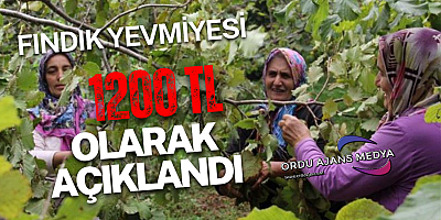 FINDIK YEVMİYE ÜCRETİ BELLİ OLDU