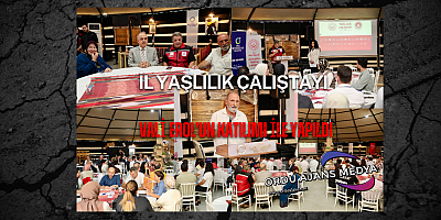 İl Yaşlılık Çalıştayı Yapıldı