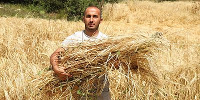 İstanbul’dan Ordu’ya Uzanan Çiftçilik Öyküsü Başarıya Dönüştü