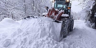 Kar Yağışı Ordu’da Hayatı Olumsuz Etkiledi
