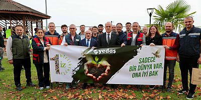 ORDU’DA 350 BİN FİDAN TOPRAKLA BULUŞTURULACAK