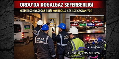 ORDU’DA DOĞALGAZ SEFERBERLİĞİ