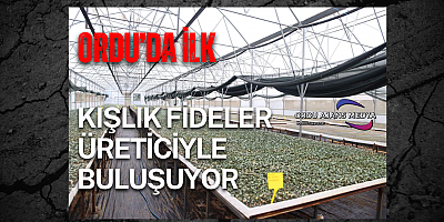 ORDU’DA İLK: KIŞLIK FİDELER ÜRETİCİYLE BULUŞUYOR