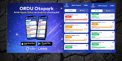 Ordu’da Otopark Bulmak Artık Çok Kolay