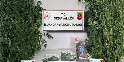 Ordu Jandarmasından Bir Haftada 26 Aranan Şüpheli Yakalandı
