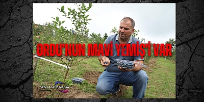 ORDU’NUN MAVİ YEMİŞ’İ VAR 