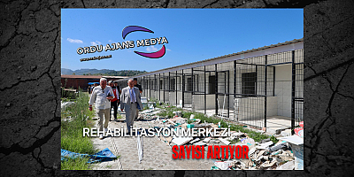 Rehabilitasyon Merkezi Sayısı Artıyor