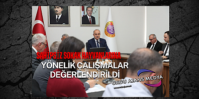Sahipsiz Sokak Hayvanlarına Yönelik Çalışmalar Değerlendirildi