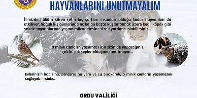 Soğuk Kış Günlerinde Sokak Hayvanlarını Unutmayalım