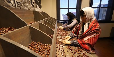 TÜRKİYE’NİN İLK FINDIK MÜZESİ ZİYARETÇİLERİNİ AĞIRLIYOR 