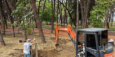 ÜNYE ÇAMLIK’TA KURUYAN AĞAÇLARIN YERİNE YENİLERİ DİKİLİYOR