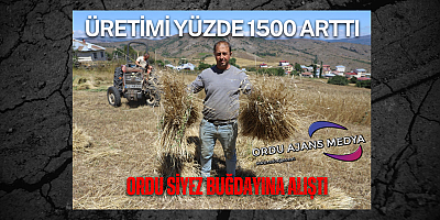 ÜRETİMİ YÜZDE 1500 ARTTI 
