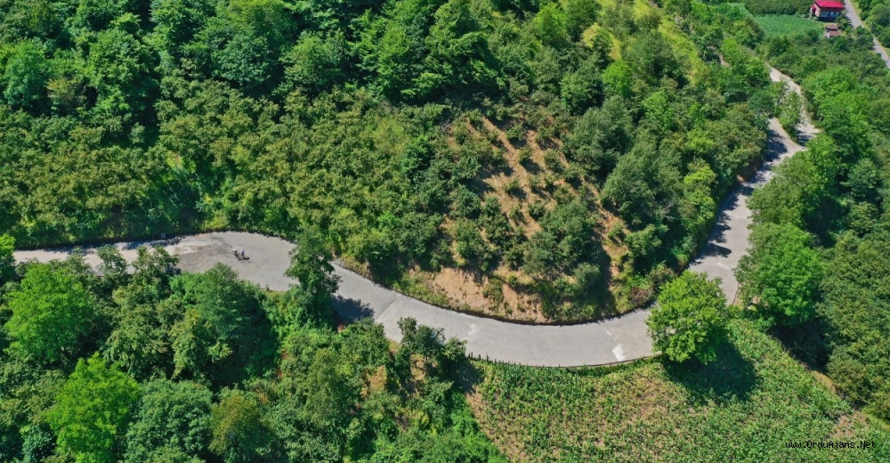 ÜNYE YENİKÖY’DE YOL SEVİNCİ