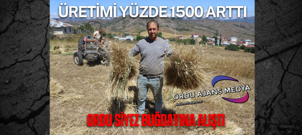 ÜRETİMİ YÜZDE 1500 ARTTI 