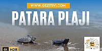 Patara Plajı’nda Caretta Caretta Mucizesi 🐢 | Kaş Antalya’nın Gizli Cenneti!