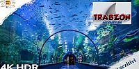 Trabzon Akvaryum Gezisi - Türkiye’nin En Büyük Tünel Akvaryumunda Büyüleyici Anlar!