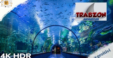 Trabzon Akvaryum Gezisi - Türkiye’nin En Büyük Tünel Akvaryumunda Büyüleyici Anlar!